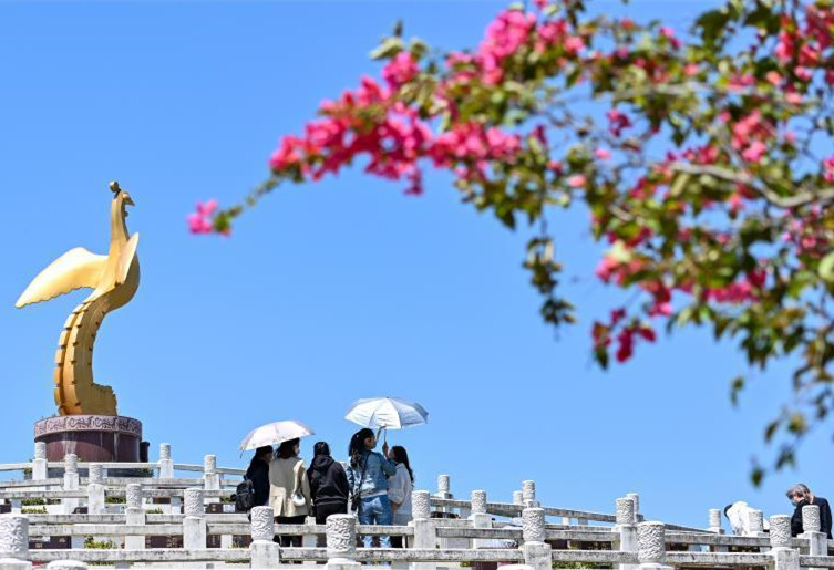 广州市民有序祭扫